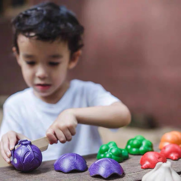 Plan Toys - 5 Colour veggie set