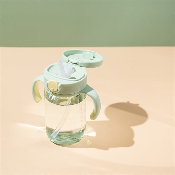 Richell - Aster On-the-go Straw Mug 320ml -Green