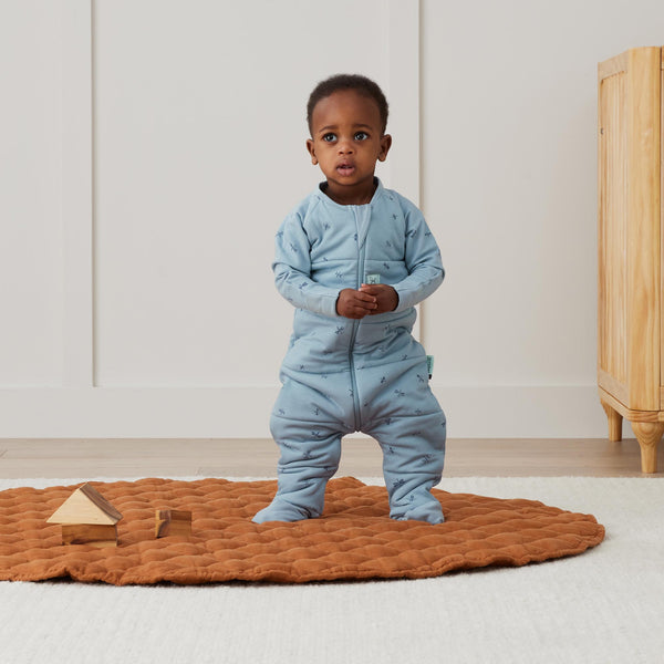 ergoPouch - Sleep Onesie 2.5 TOG Dragonflies