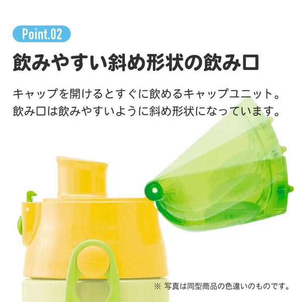 Skater - One Push Stainless Still Direct Drink Bottle with Mini Strap 580ml - Frozen Warm Heart Warm Wishes-Panda Kids and Baby