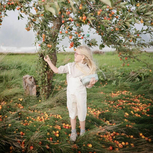 Mushie - Lunchbox Cloud-Panda Kids and Baby