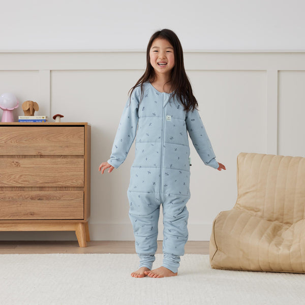 ergoPouch -  Sleep Onesie 2.5 TOG Dragonflies