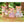 Sylvanian Families - Deer Family  - SF5799