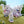 Sylvanian Families - Snow Leopard Family