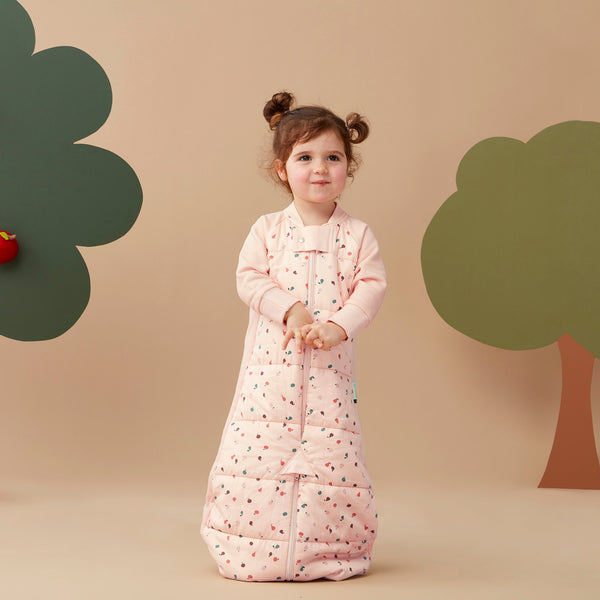 ergoPouch - Sleep Suit Bag 2.5 TOG Cute Fruit - 8-24Month