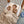 ergoPouch - Organic Toddler Pillow and Case - Lullaby