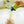 Doctor Bétta - Baby Formula Container Castle - Lime Green
