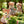 Sylvanian Families - Deer Family  - SF5799