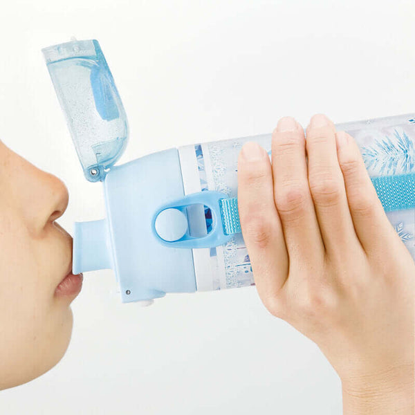 Skater - One Push Stainless Still Direct Drink Bottle with Mini Strap 580ml - Frozen Let Every Heart Shine-Panda Kids and Baby