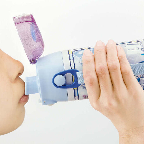 Skater - One Push Stainless Still Direct Drink Bottle with Mini Strap 580ml - Frozen Warm Heart Warm Wishes-Panda Kids and Baby