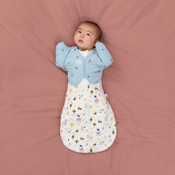 ergoPouch - 2.5tog Cocoon Swaddle Bag Daydream