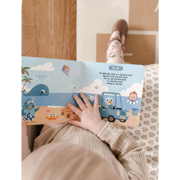 Ditty Bird - Colour Songs-Panda Kids and Baby