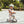 Scoot & Ride - Highwaykick 1 Ash