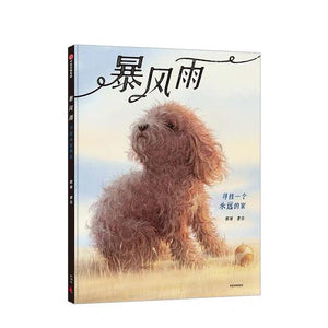 暴风雨 中文绘本 中信童书 