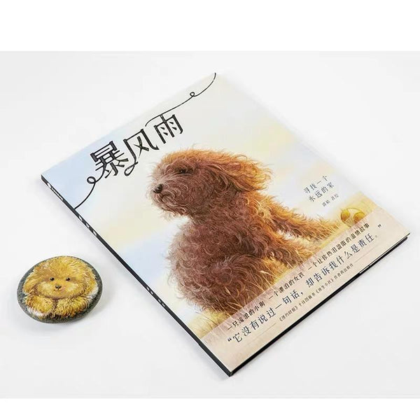 暴风雨-Panda Kids and Baby