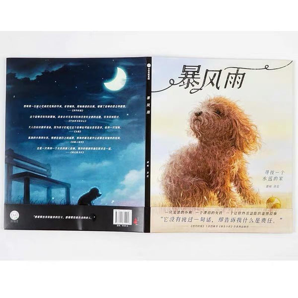 暴风雨-Panda Kids and Baby