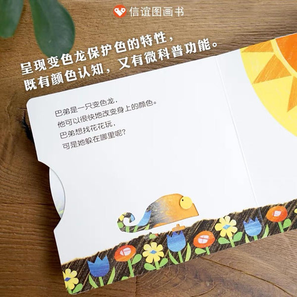 变色龙捉迷藏-Panda Kids and Baby