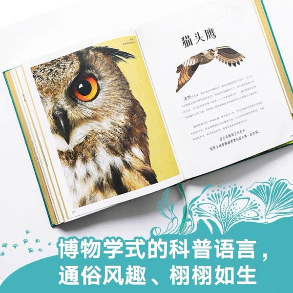 DK奇妙动物大百科 中文绘本 少儿绘本 