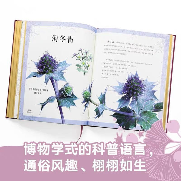 DK神秘大自然奇观-Panda Kids and Baby