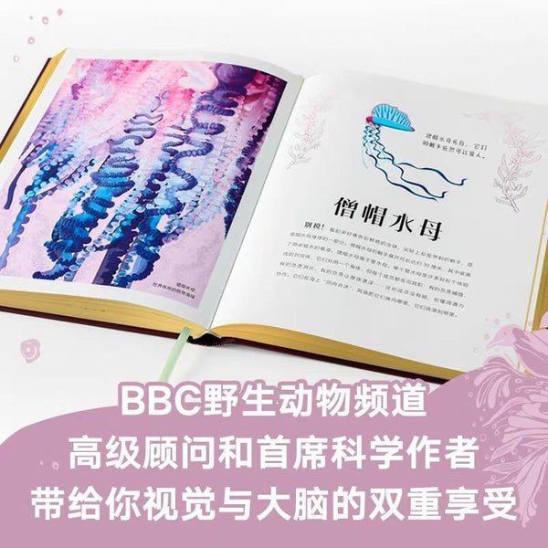 DK神秘大自然奇观-Panda Kids and Baby