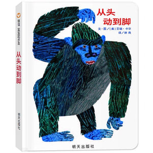 从头动到脚-Panda Kids and Baby