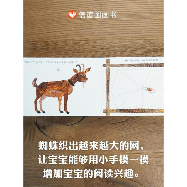 好忙的蜘蛛-Panda Kids and Baby