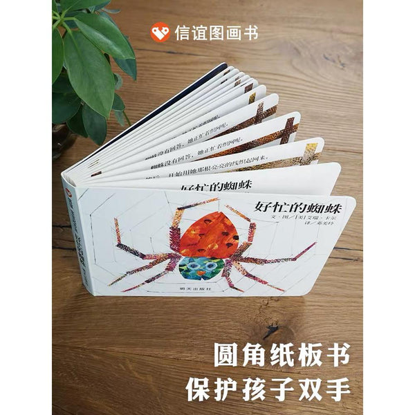 好忙的蜘蛛-Panda Kids and Baby