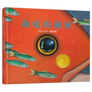 海底的秘密 中文绘本 少儿读物 