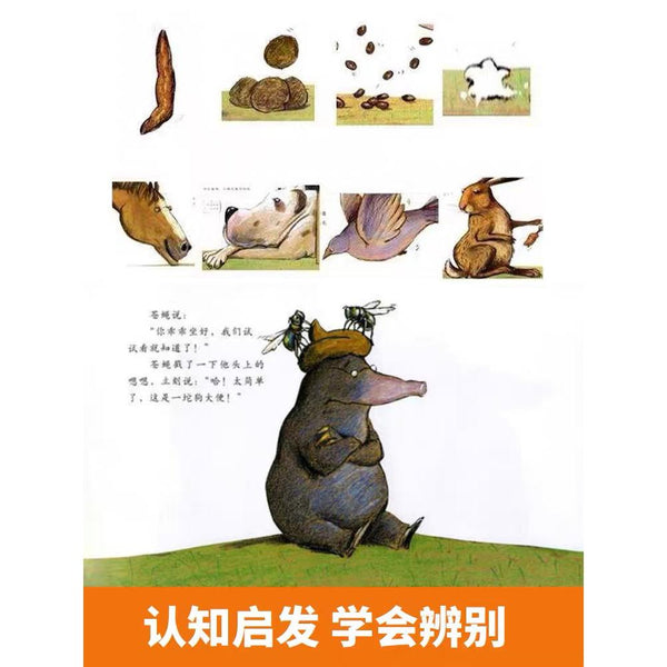 是谁嗯嗯在我的头上-Panda Kids and Baby