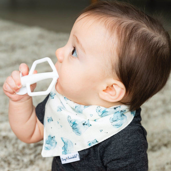 Tiny Twinkle - Bandana Bib - Forest Set of 2-Panda Kids and Baby