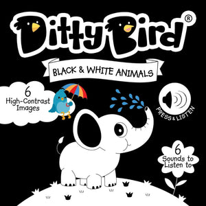 DITTY BIRD - Black & White Animals-Panda Kids and Baby