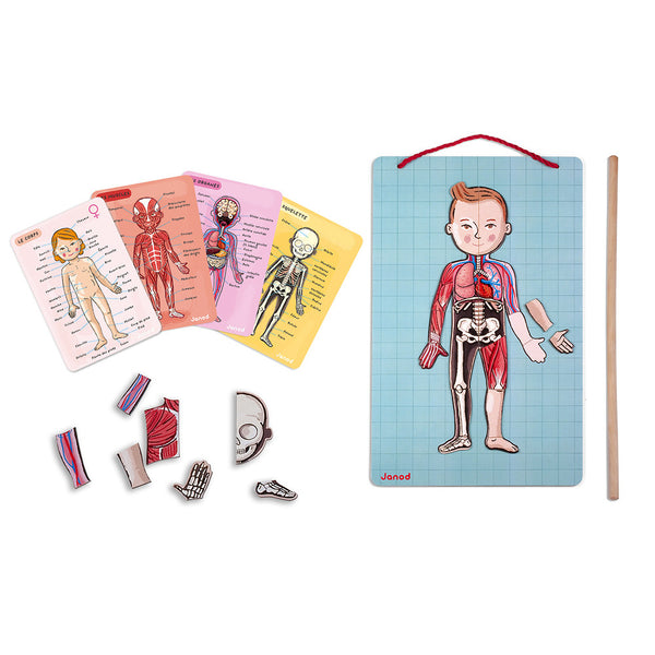 Janod - Bodymagnet-Panda Kids and Baby