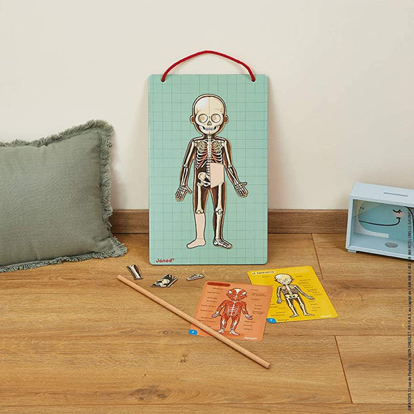 Janod - Bodymagnet-Panda Kids and Baby