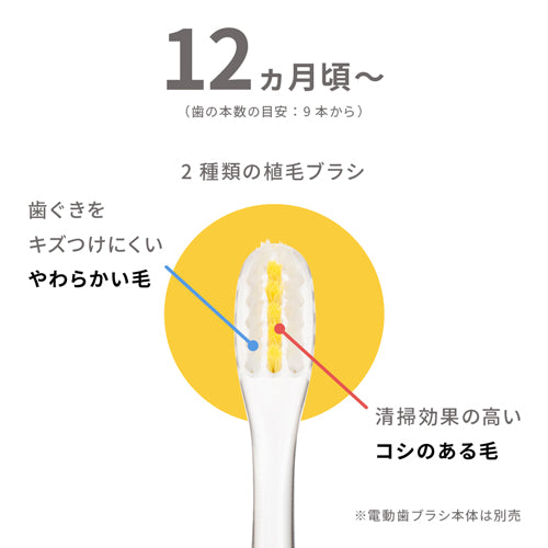 Pigeon - First Finish Electric Toothbrush Replacement Brush-Panda Kids and Baby