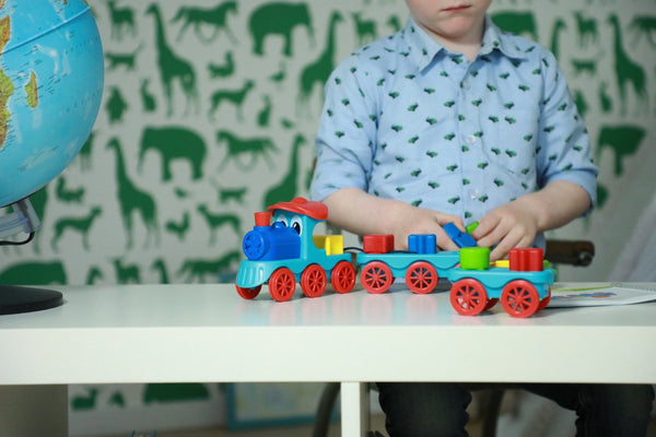 Smart Games - Brain Train-Panda Kids and Baby