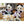 Sylvanian Families- Pookie Panda Family-Panda Kids and Baby