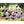 Sylvanian Families- Pookie Panda Family-Panda Kids and Baby