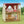 Sylvanian Families - Red Roof Cosy Cottage Starter Home New-Panda Kids and Baby