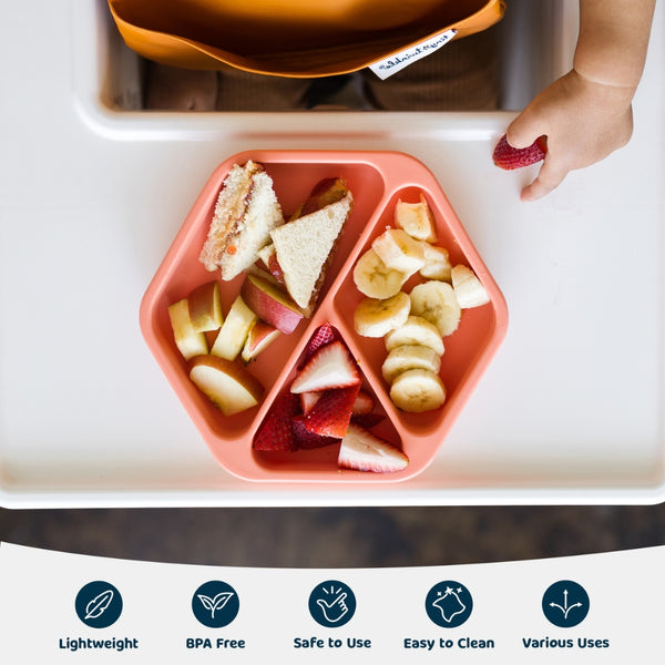 Tiny Twinkle - Silicone Plate and Lid Set - Coral-Panda Kids and Baby